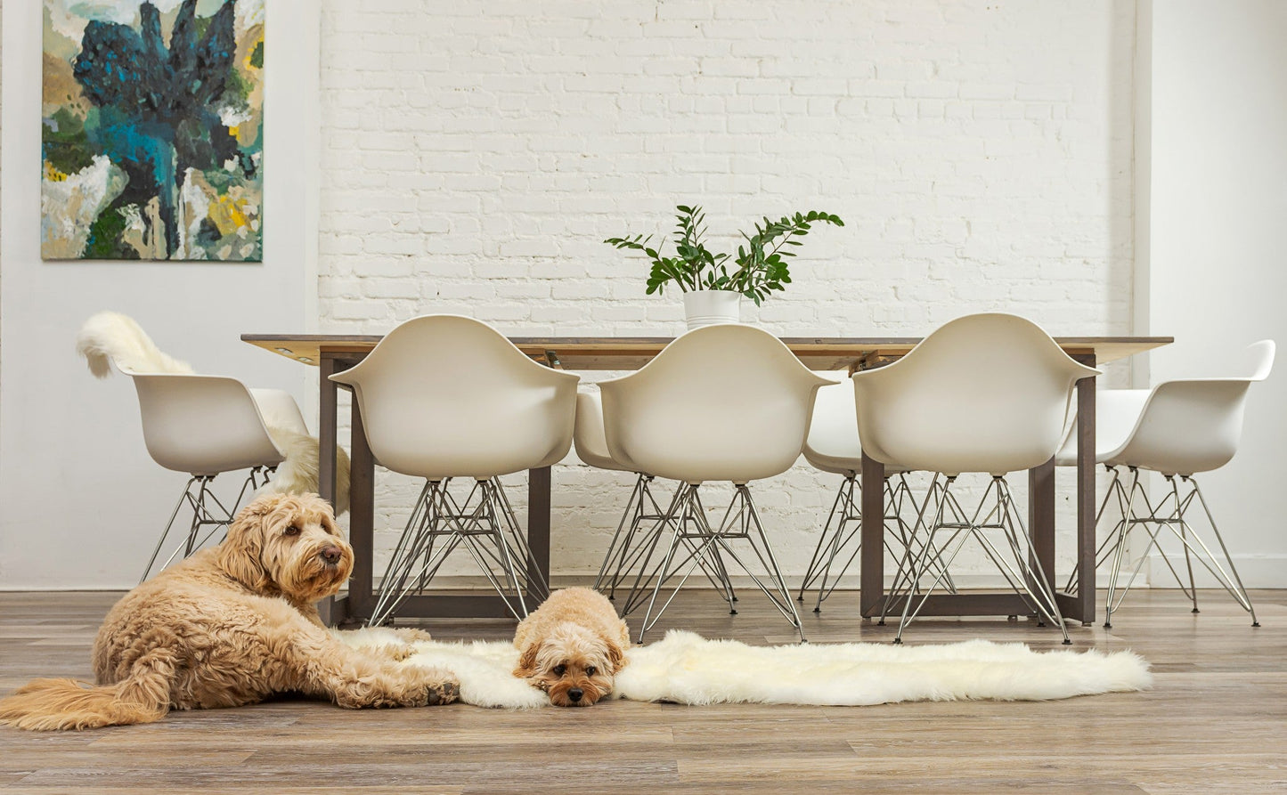 24inches x 72inches x 2inches Natural Double Sheepskin - Area Rug