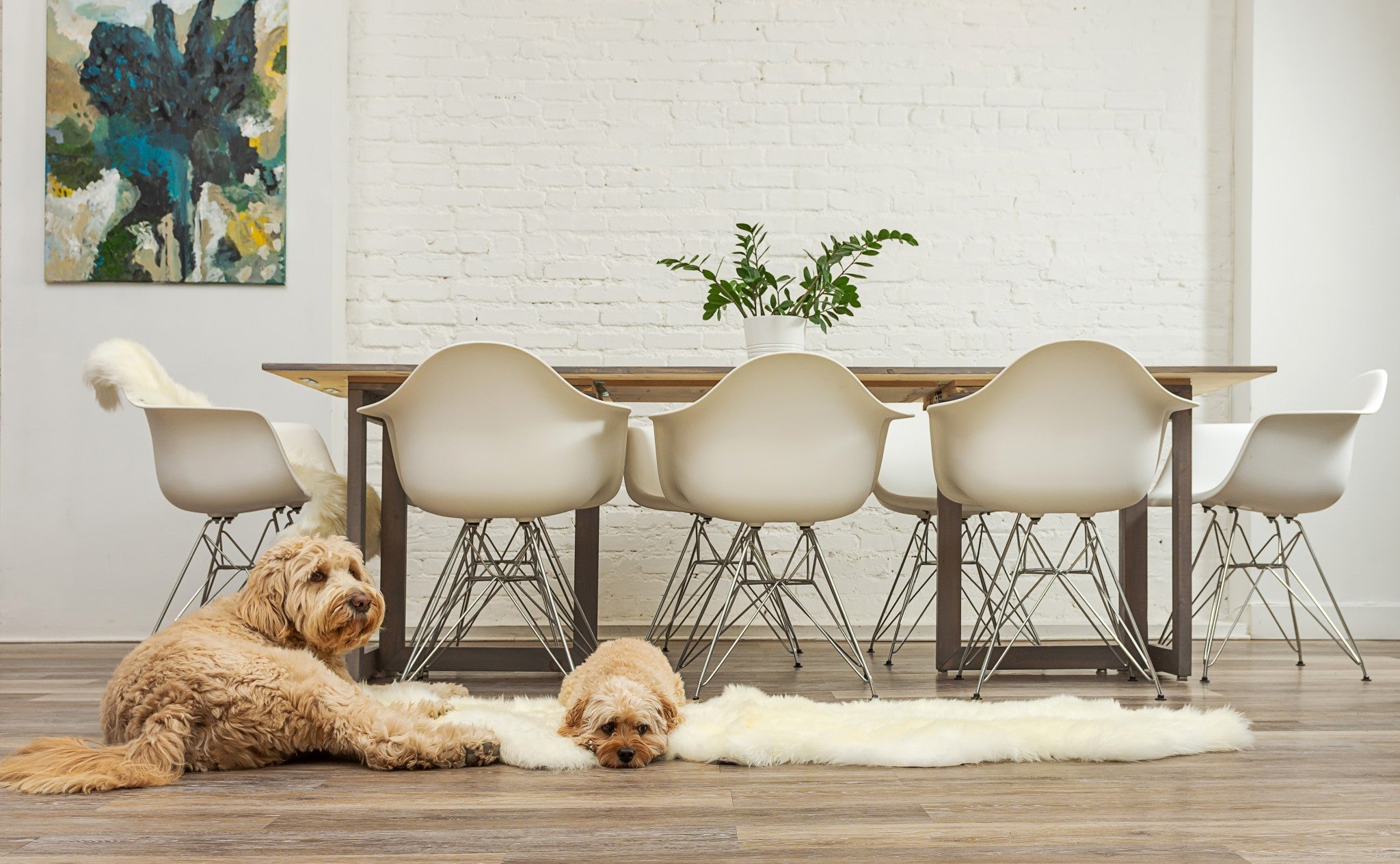24inches x 72inches x 2inches Natural Double Sheepskin - Area Rug
