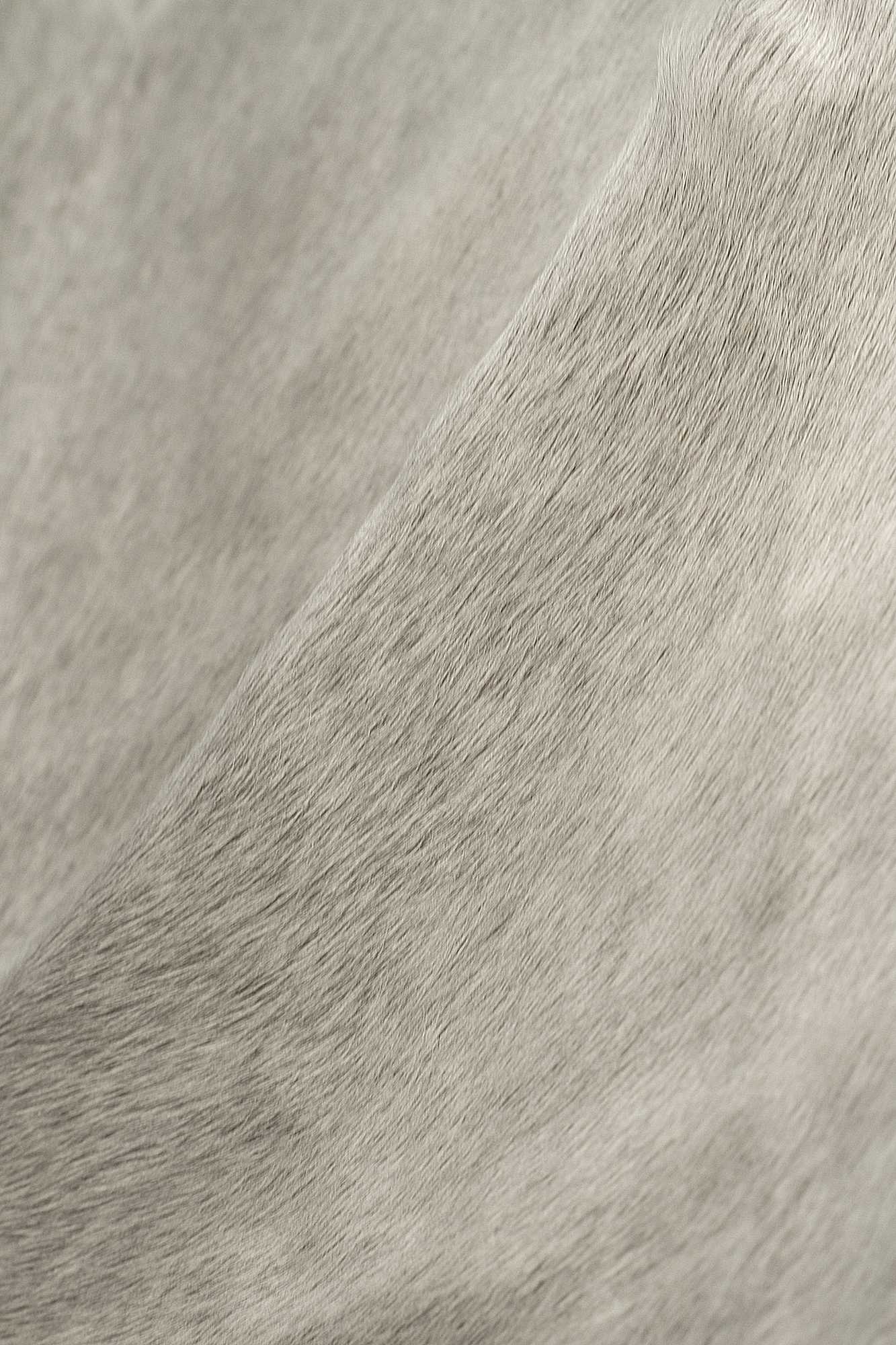 60inches x 84inches Black And White Cowhide - Area Rug