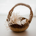 QToys Australia (USA) Coco basket