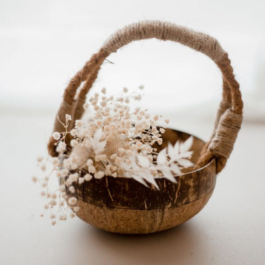 QToys Australia (USA) Coco basket