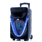 Naxa Portable 12 inch Bluetooth Party Speaker with Disco Light