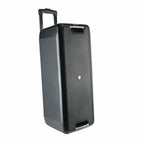 Portable Bluetooth Speakers NGS WILD RAVE 2 Black 300 W