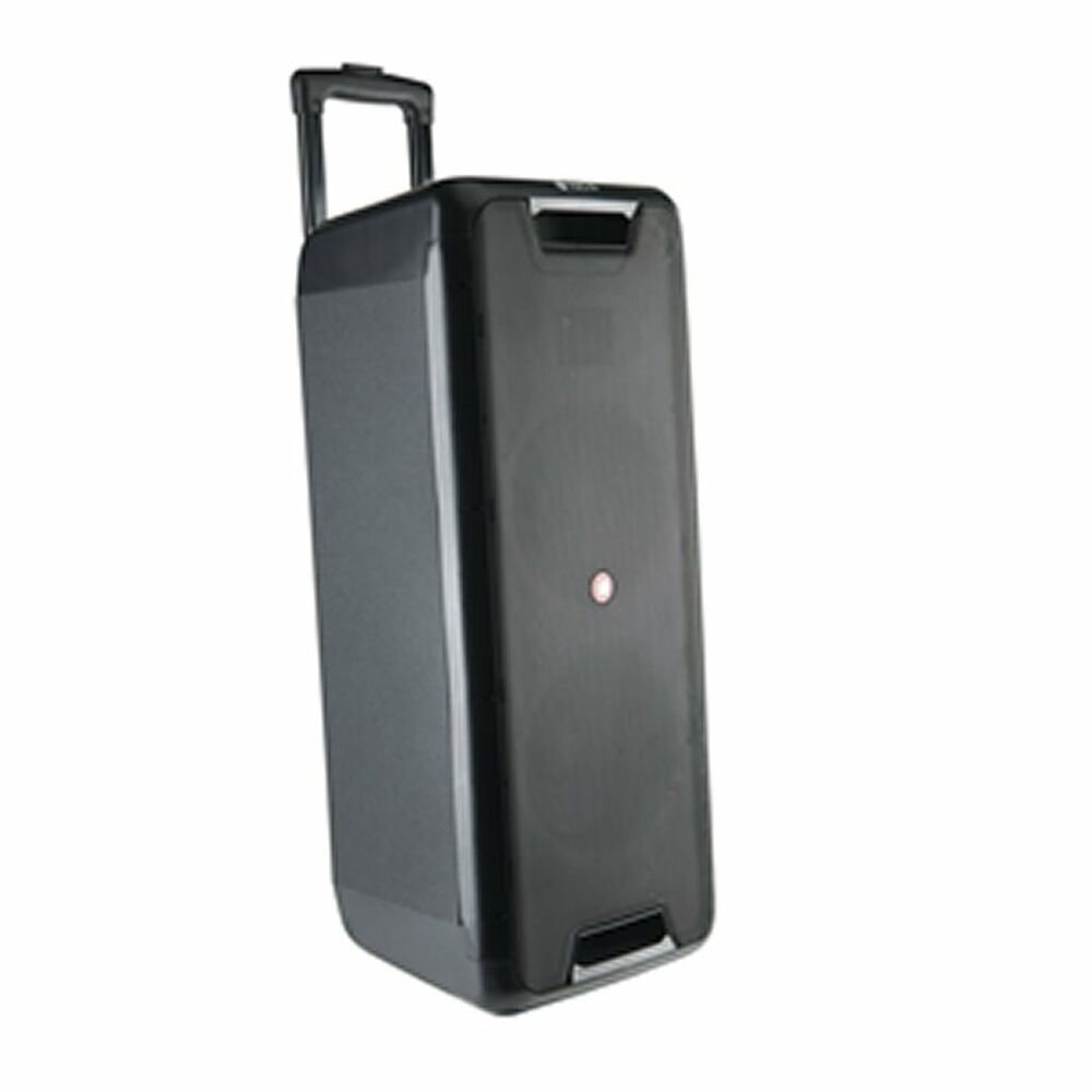Portable Bluetooth Speakers NGS WILD RAVE 2 Black 300 W