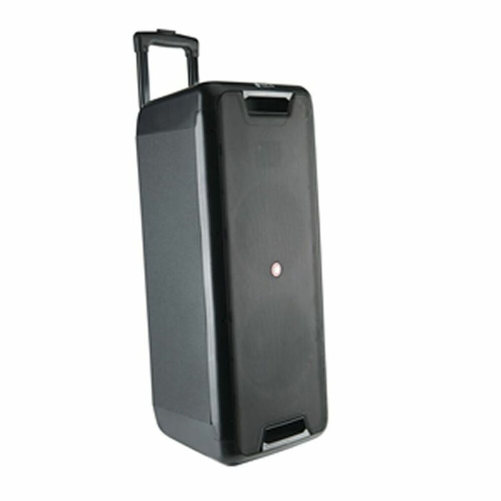 Portable Bluetooth Speakers NGS WILD RAVE 2 Black 300 W