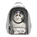 New Fashion Transparent Pet Bag - Cat and Dog Travel Backpack Bags