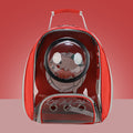 New Fashion Transparent Pet Bag - Cat and Dog Travel Backpack Bags